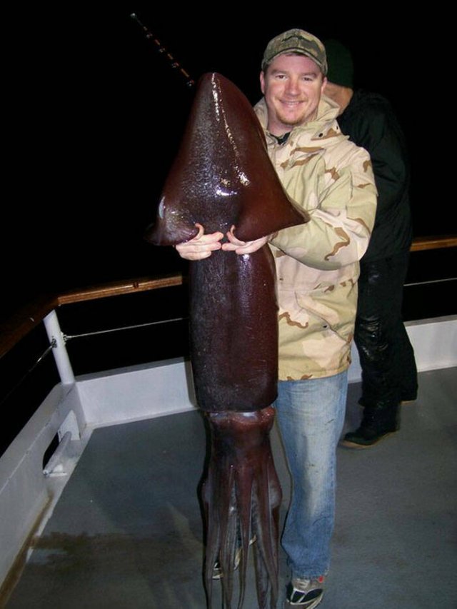 Oceanic Nightmares (28 pics)