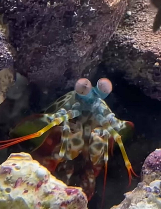 Oceanic Nightmares (28 pics)