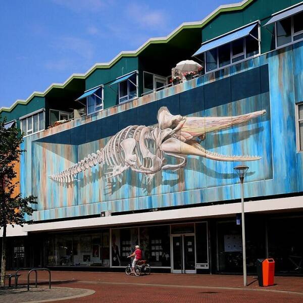 Amazing Street Art (25 pics)