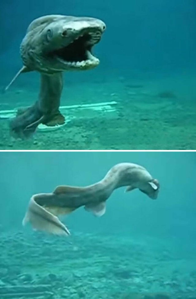 Oceanic Nightmares (28 pics)