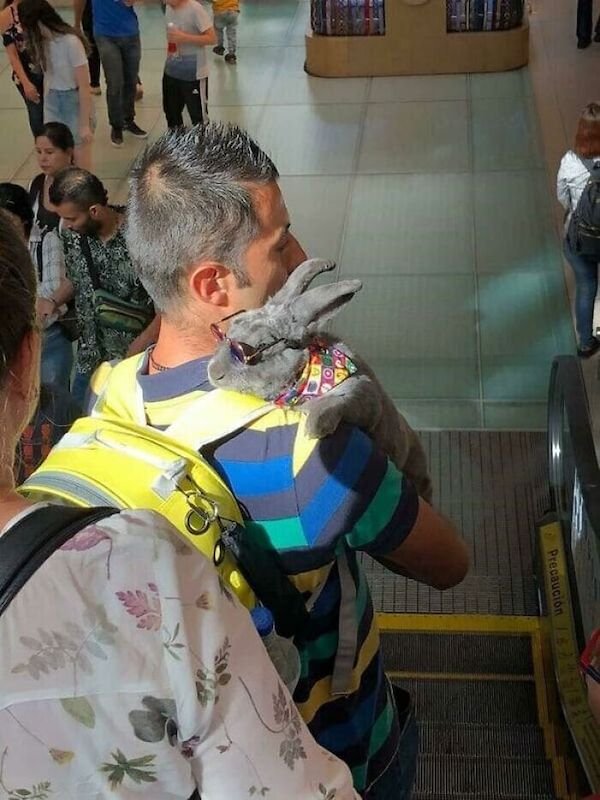 Weird People In The Subway (33 pics)