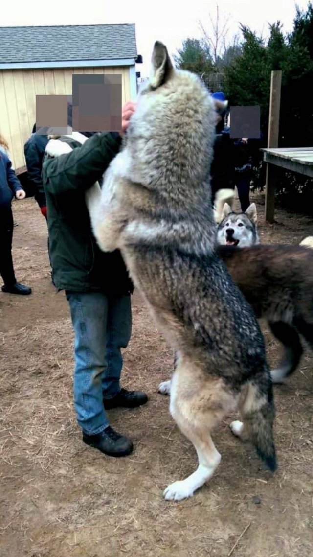 Interesting Facts And Photos (26 pics) Interesting Facts And Photos (26 pics)