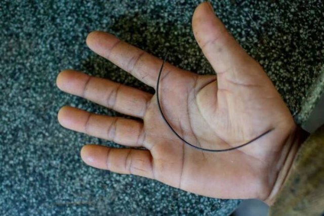 Interesting Facts And Photos (26 pics) Interesting Facts And Photos (26 pics)