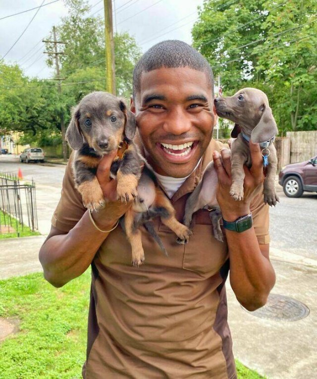 The Postman Who Loves Dogs Very Much (25 pics)