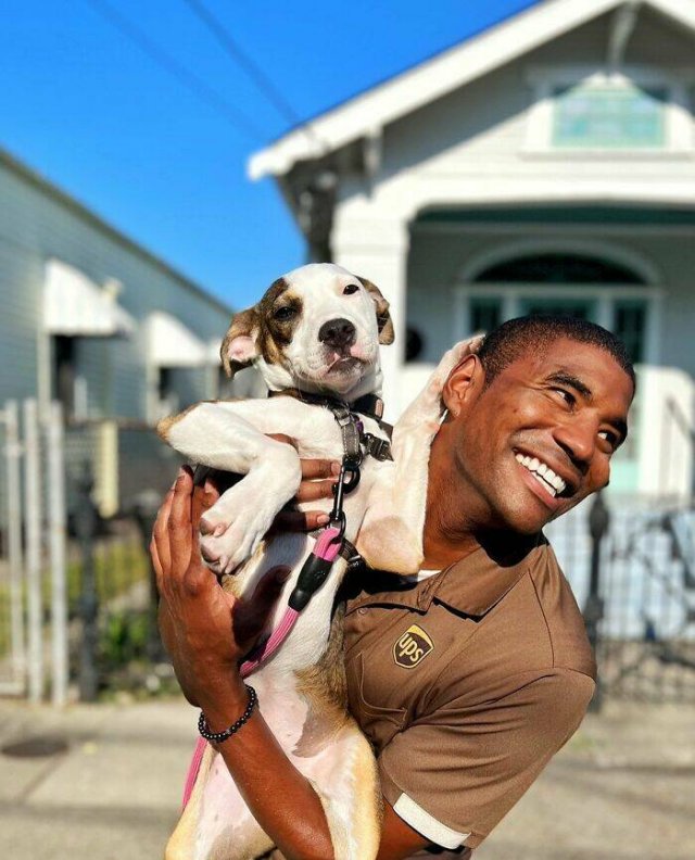 The Postman Who Loves Dogs Very Much (25 pics)