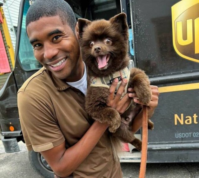The Postman Who Loves Dogs Very Much (25 pics)