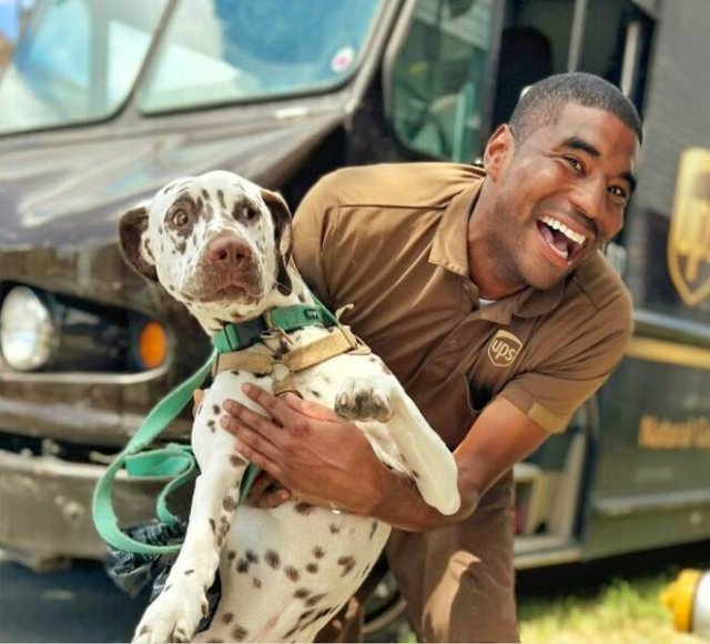 The Postman Who Loves Dogs Very Much (25 pics)