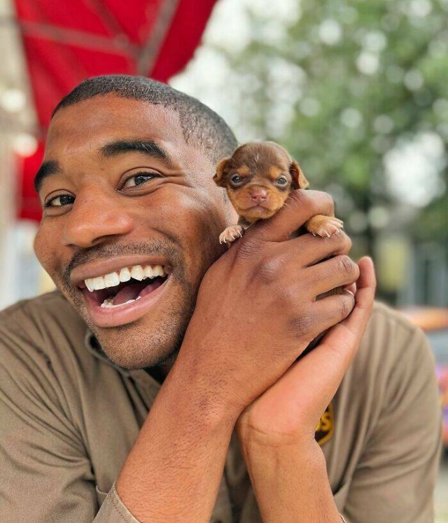 The Postman Who Loves Dogs Very Much (25 pics)