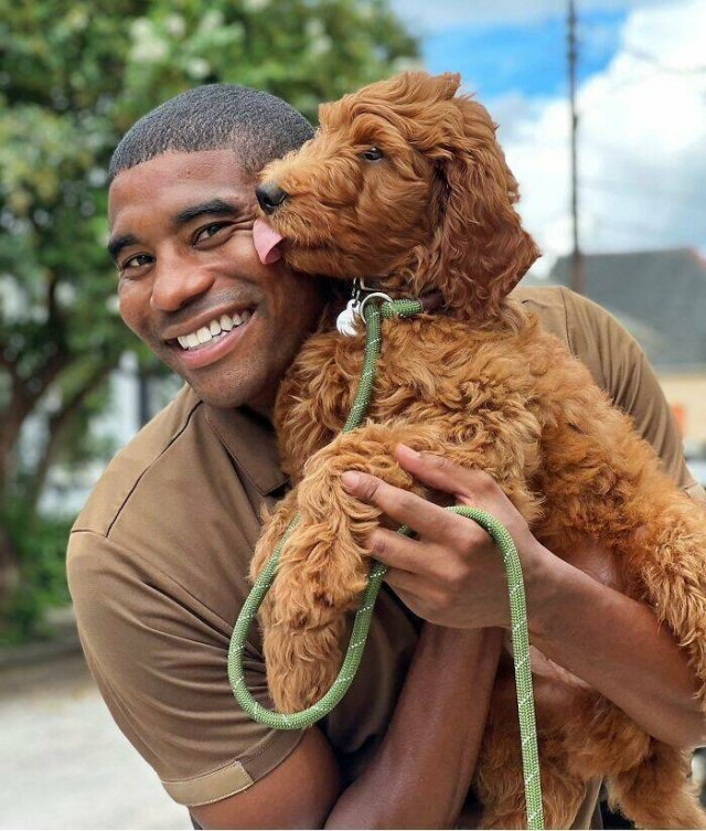 The Postman Who Loves Dogs Very Much (25 pics)