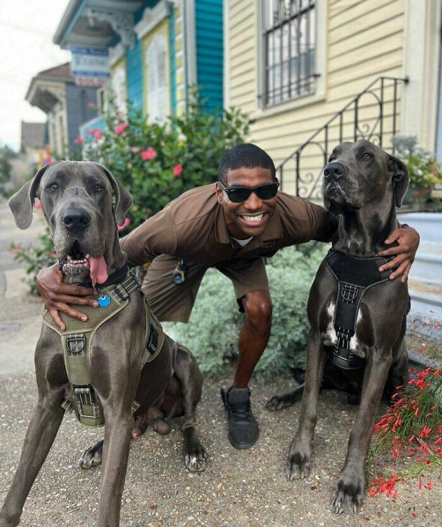The Postman Who Loves Dogs Very Much (25 pics)