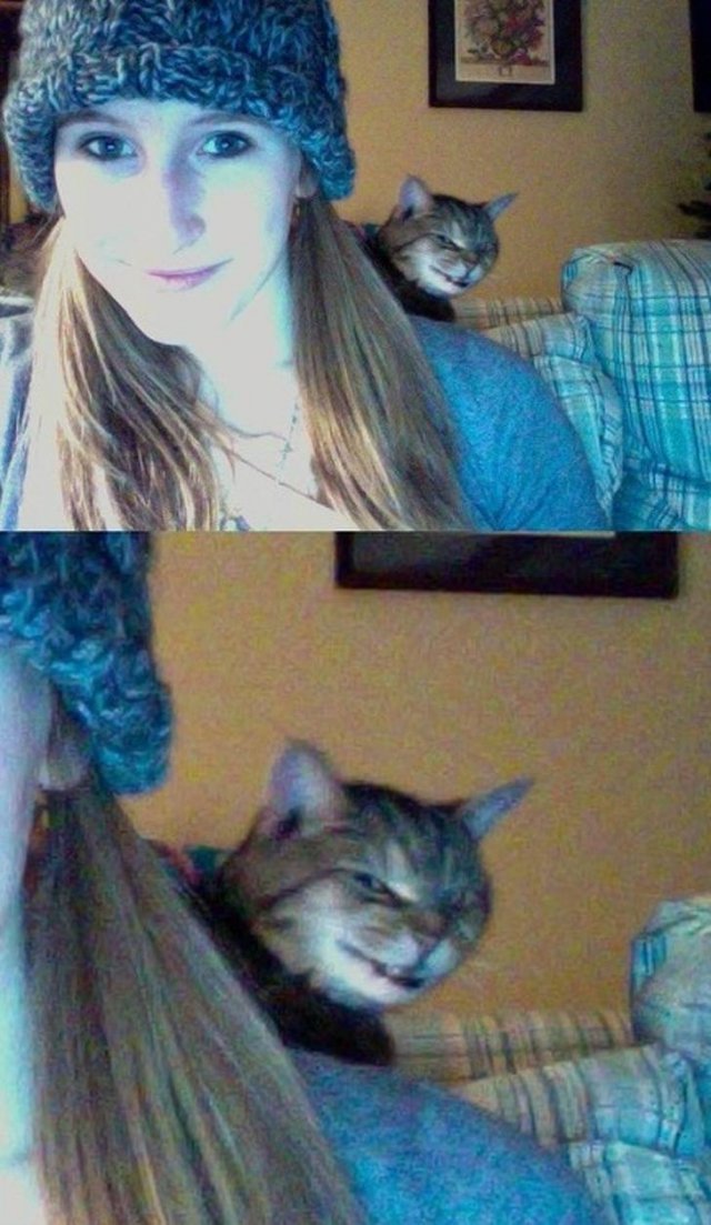 Funny Photobombs With Animals (20 pics) Funny Photobombs With Animals (20 pics)