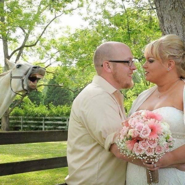 Funny Photobombs With Animals (20 pics)