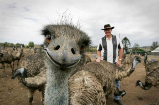 Funny Photobombs With Animals (20 pics) Funny Photobombs With Animals (20 pics)