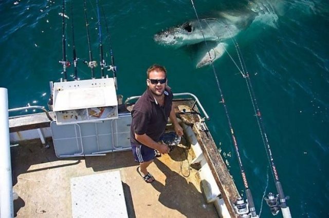 Funny Photobombs With Animals (20 pics) Funny Photobombs With Animals (20 pics)