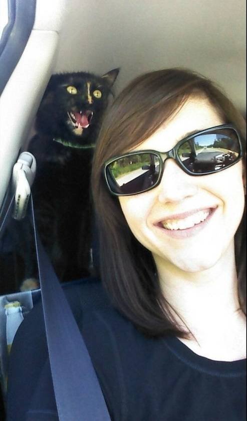 Funny Photobombs With Animals (20 pics) Funny Photobombs With Animals (20 pics)