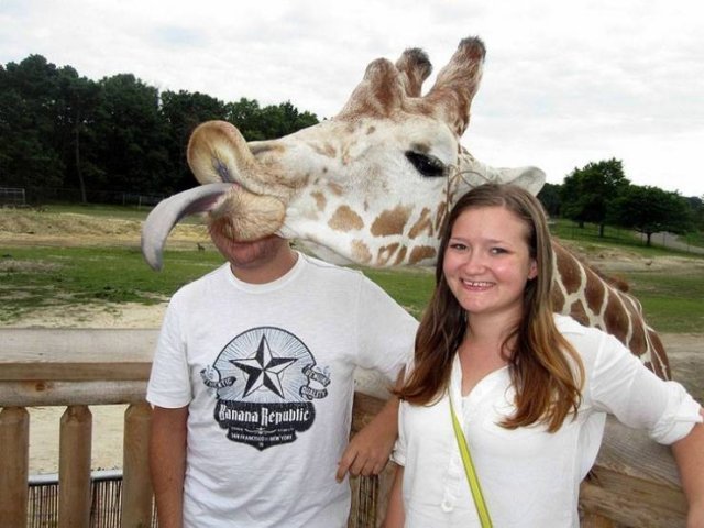 Funny Photobombs With Animals (20 pics) Funny Photobombs With Animals (20 pics)