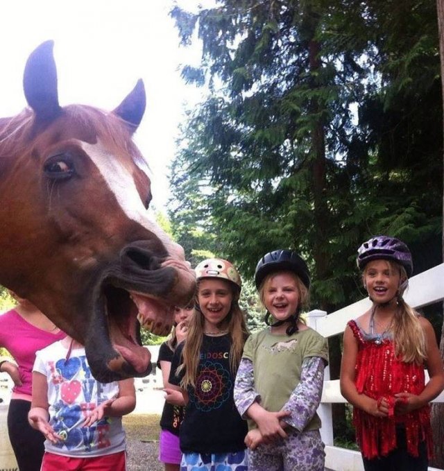Funny Photobombs With Animals (20 pics) Funny Photobombs With Animals (20 pics)