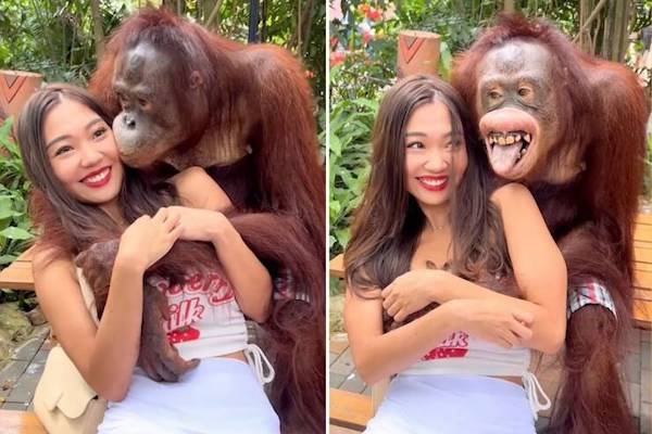 Funny Animals (50 pics)