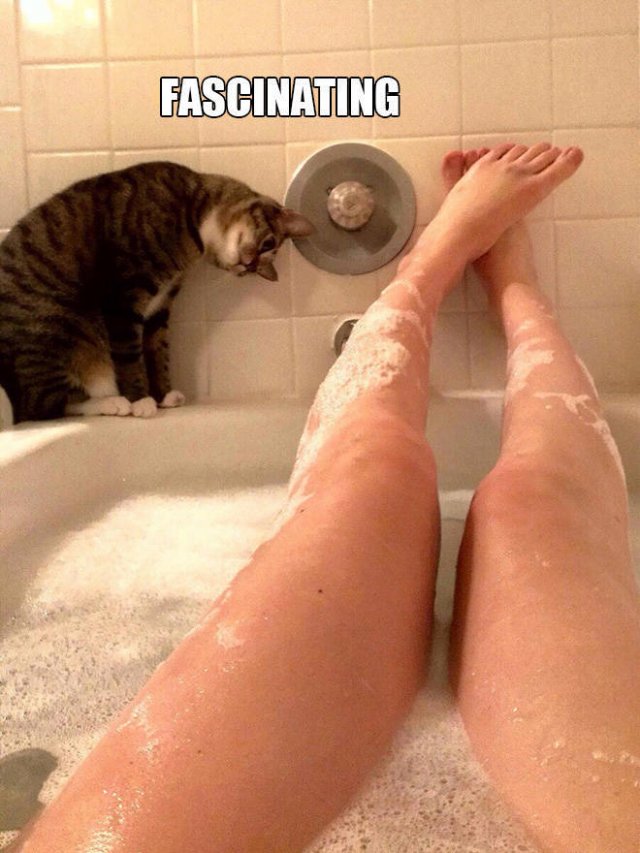 They Broke (20 pics)