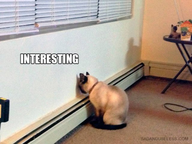 They Broke (20 pics)