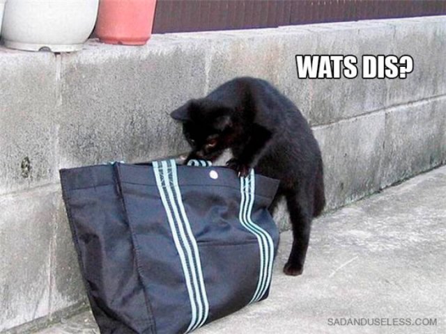 They Broke (20 pics)