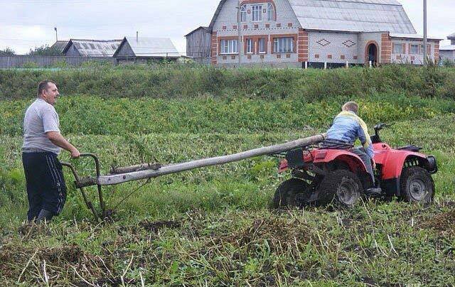 Strange Russians (40 pics)