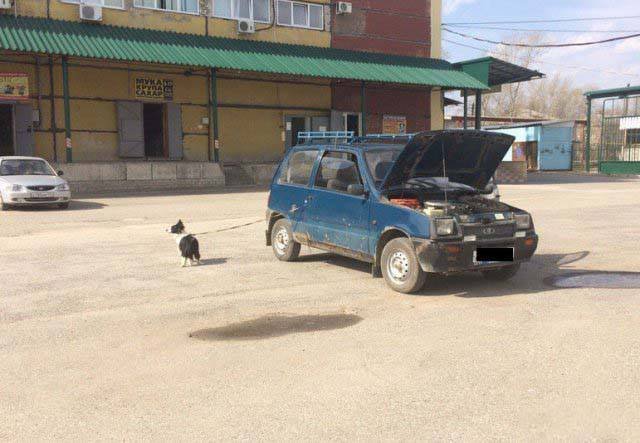 Strange Russians (40 pics)