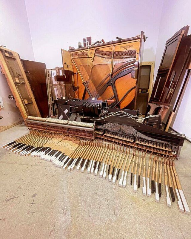 Unusual Uses Of Musical Instruments (23 pics)