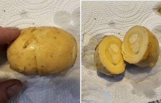 Unexpecting And Interesting Finds (19 pics) Unexpecting And Interesting Finds (19 pics)