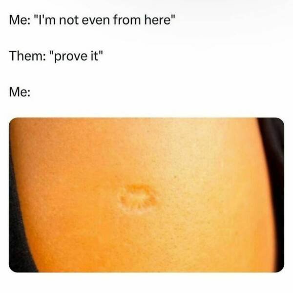 Funny Memes (20 pics)