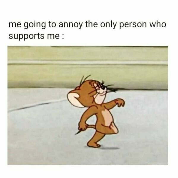 Funny Memes (20 pics)