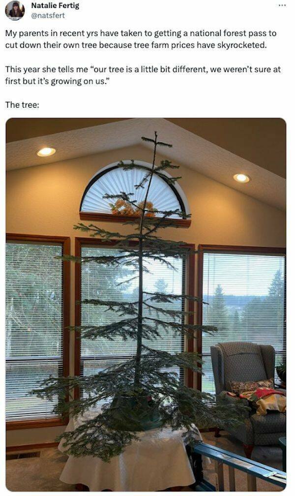 Funny Tweets (16 pics)