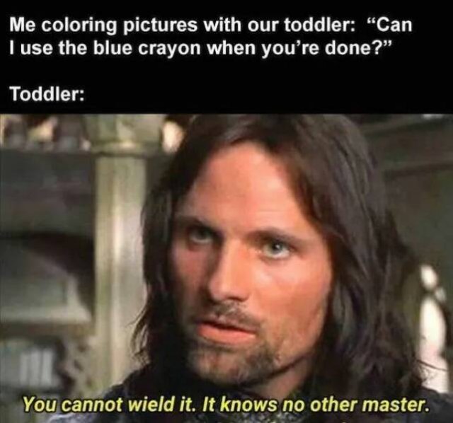 ''LOTR'' Memes (18 pics)