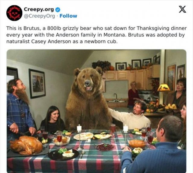 Creepy Facts And Photos (15 pics)