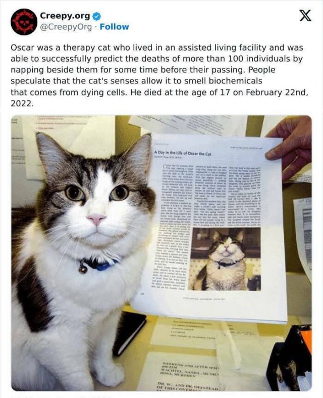 Creepy Facts And Photos (15 pics)