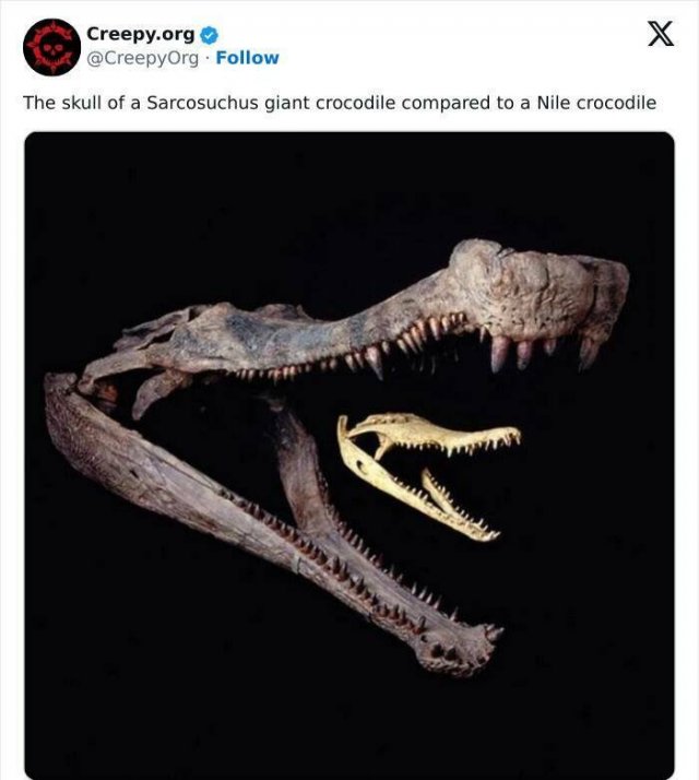 Creepy Facts And Photos (15 pics)