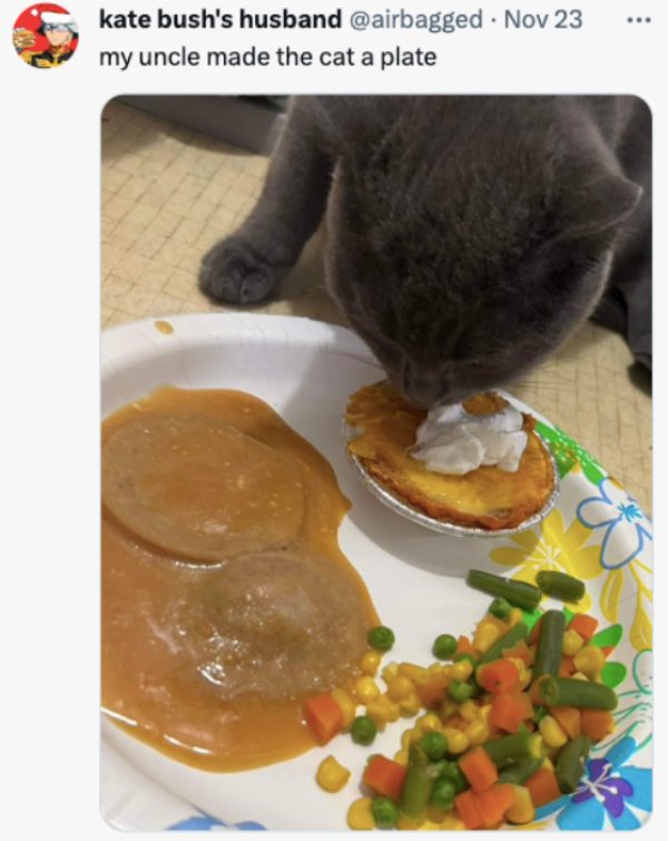 Cute And Funny Cats (32 pics)