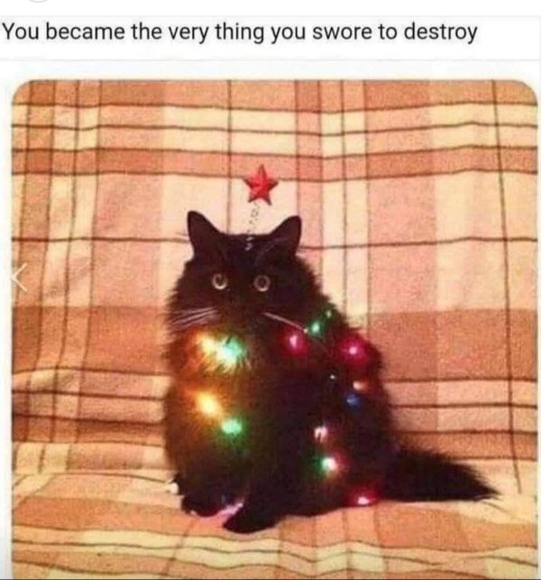 Cute And Funny Cats (32 pics)