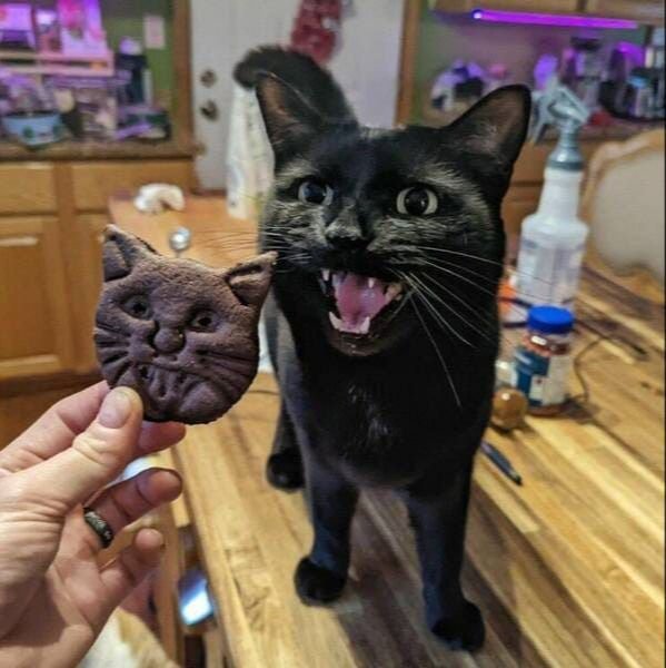 Cute And Funny Cats (32 pics)
