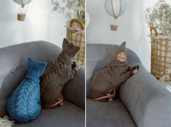 Cute And Funny Cats (32 pics)