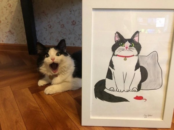 Cute And Funny Cats (32 pics)