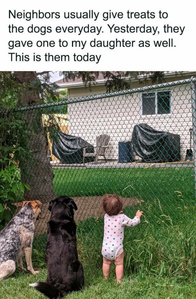 Pleasant Life Moments (24 pics)