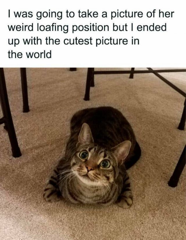 Pleasant Life Moments (24 pics)