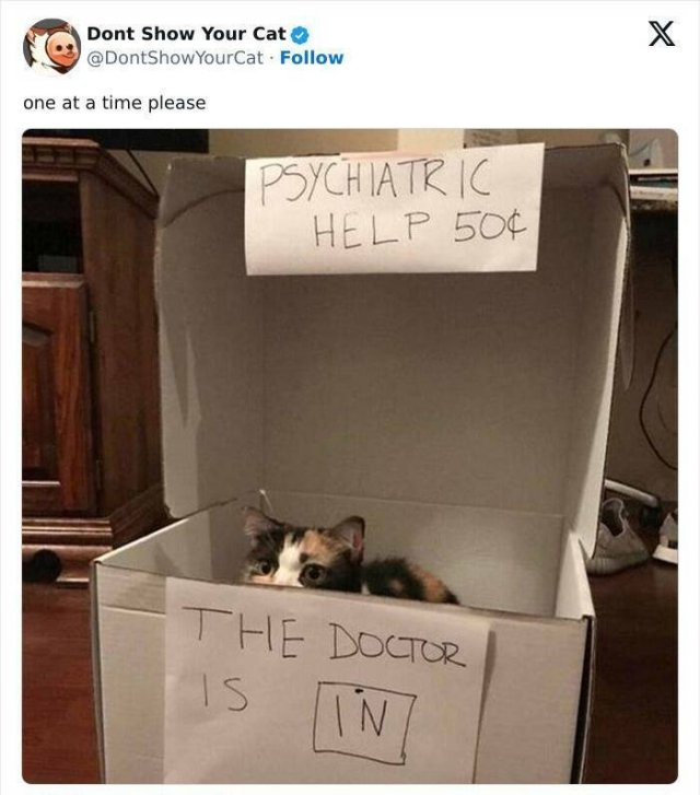Memes With Animals (20 pics)