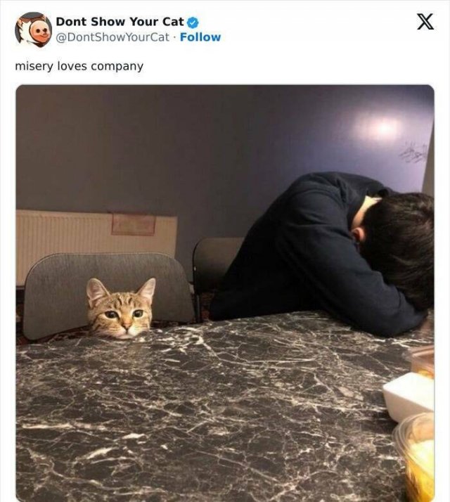 Memes With Animals (20 pics)