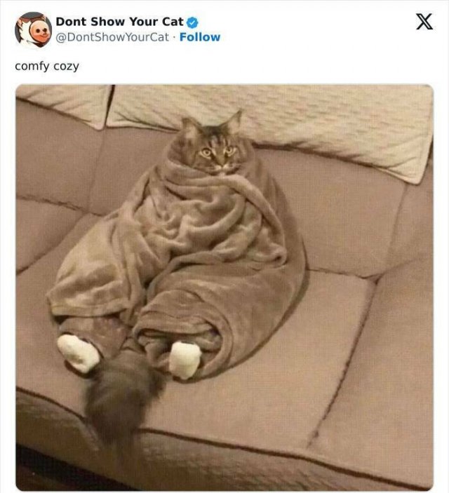 Memes With Animals (20 pics)