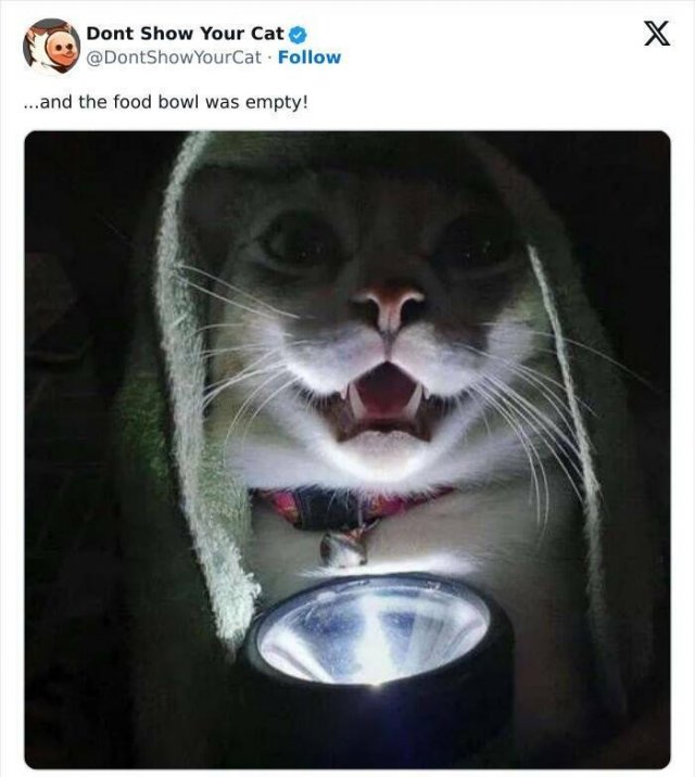 Memes With Animals (20 pics)