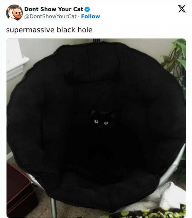Memes With Animals (20 pics)
