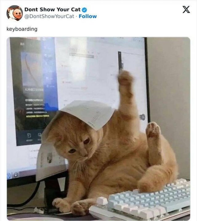 Memes With Animals (20 pics)