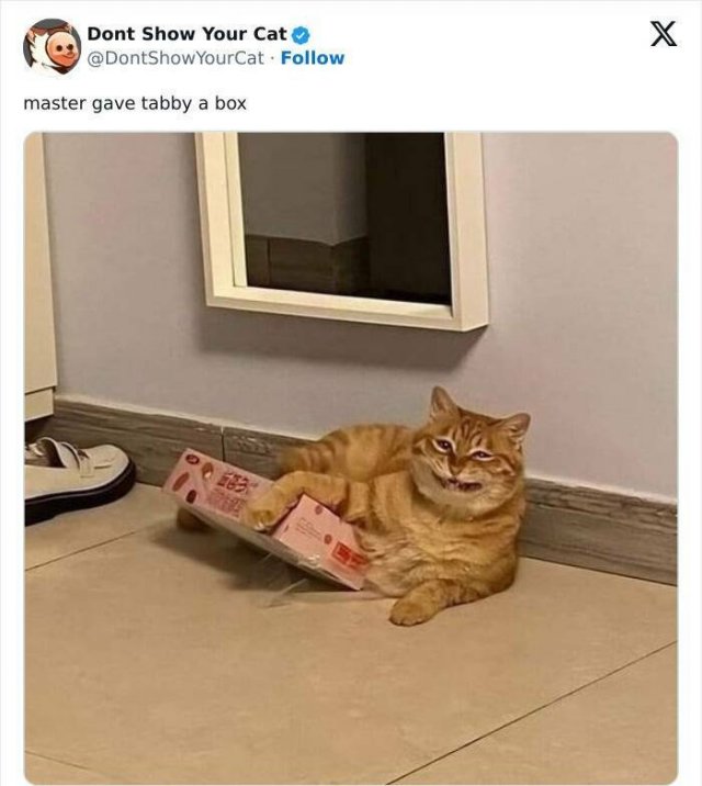 Memes With Animals (20 pics)